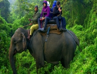 Chitwan Safari