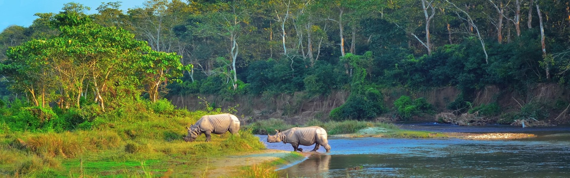 Explore Chitwan